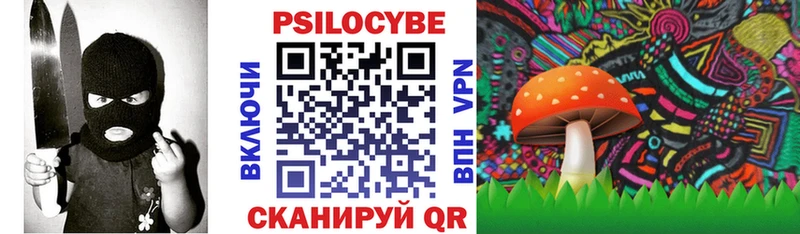 Купить  Венёв  Псилоцибиновые грибы Psilocybe 